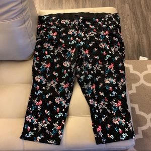 Lane Bryant “the Allie” pant